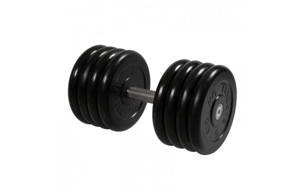 Гантель Профи с вращающейся ручкой, 41 кг MB Barbell MB-FdbM-B41 600_380