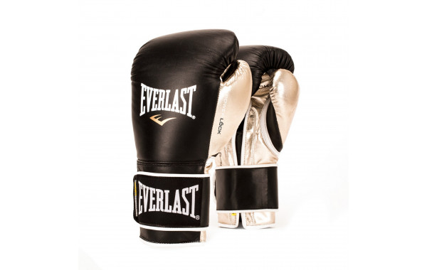 Перчатки тренировочные Everlast Powerlock 16oz P00000614 черный\золотой 600_380