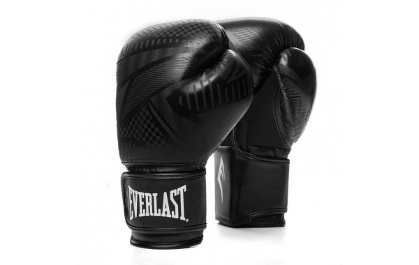 Перчатки тренировочные Everlast Spark 16oz черн/гео. 600_380