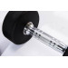 Гантели в уретане 10 кг Live Pro Studio Dumbbells LP8075-10 75_75