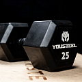 Гантель обрезиненная YouSteel HEX DB 2,5кг 120_120